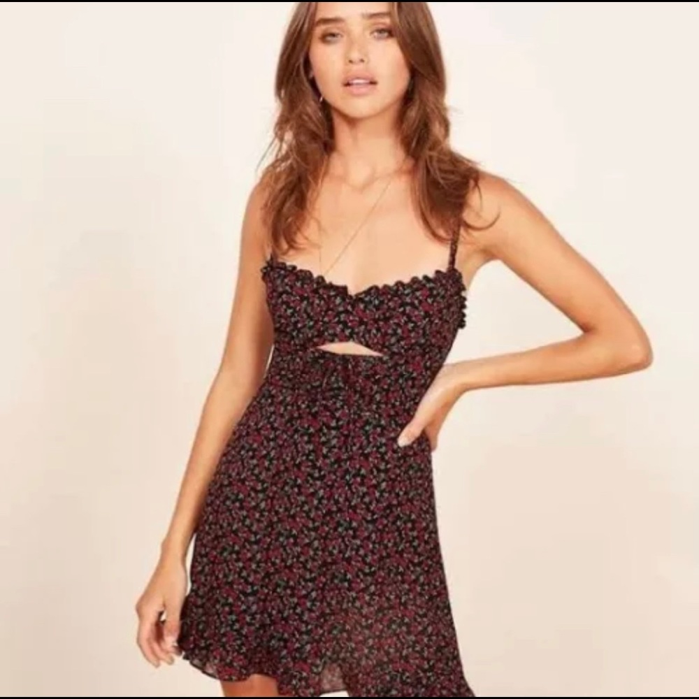 RARE Reformation Frannie Dress in Mabel Rose